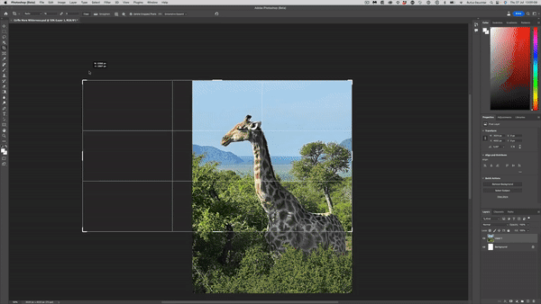 Photoshop AI 扩图前后效果对比
